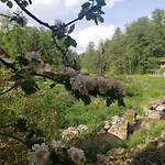 Und Sommerhaus Unter Der Burg Falkenberg (Tirschenreuth)